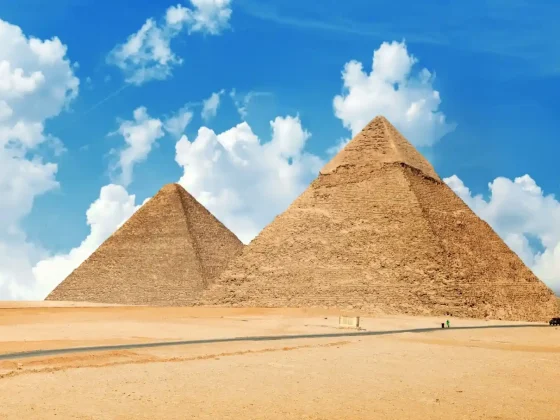 food groups pun pyramid