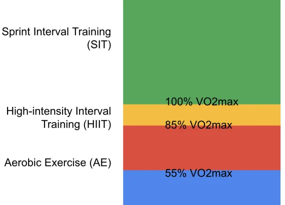 Chart of interval training intensities showing sprint interval, high intensity, aerobic, and low intensity activity levels by VO2 max