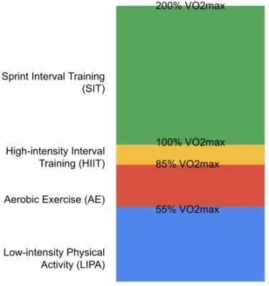 Interval training intensity chart: Sprint, High-intensity, Aerobic, and Low-intensity levels.