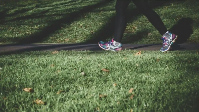 a person walking on a grassy path with fallen leaves