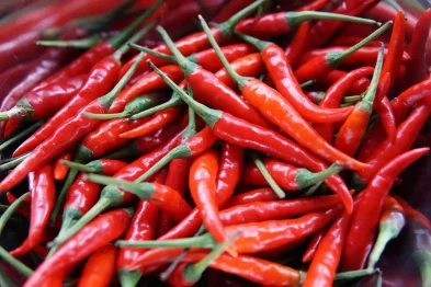 Longevity tip: Close-up of vibrant red chili peppers clustered together