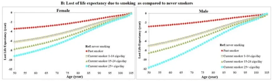 Charts showing the 8 year cost of heavy smoking