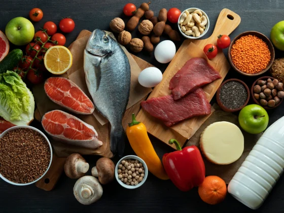 animal based diet food categories